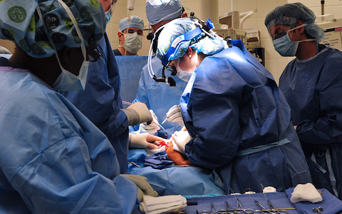 The Pediatric Surgery Fellowship Program offers a wide range of educational experiences.