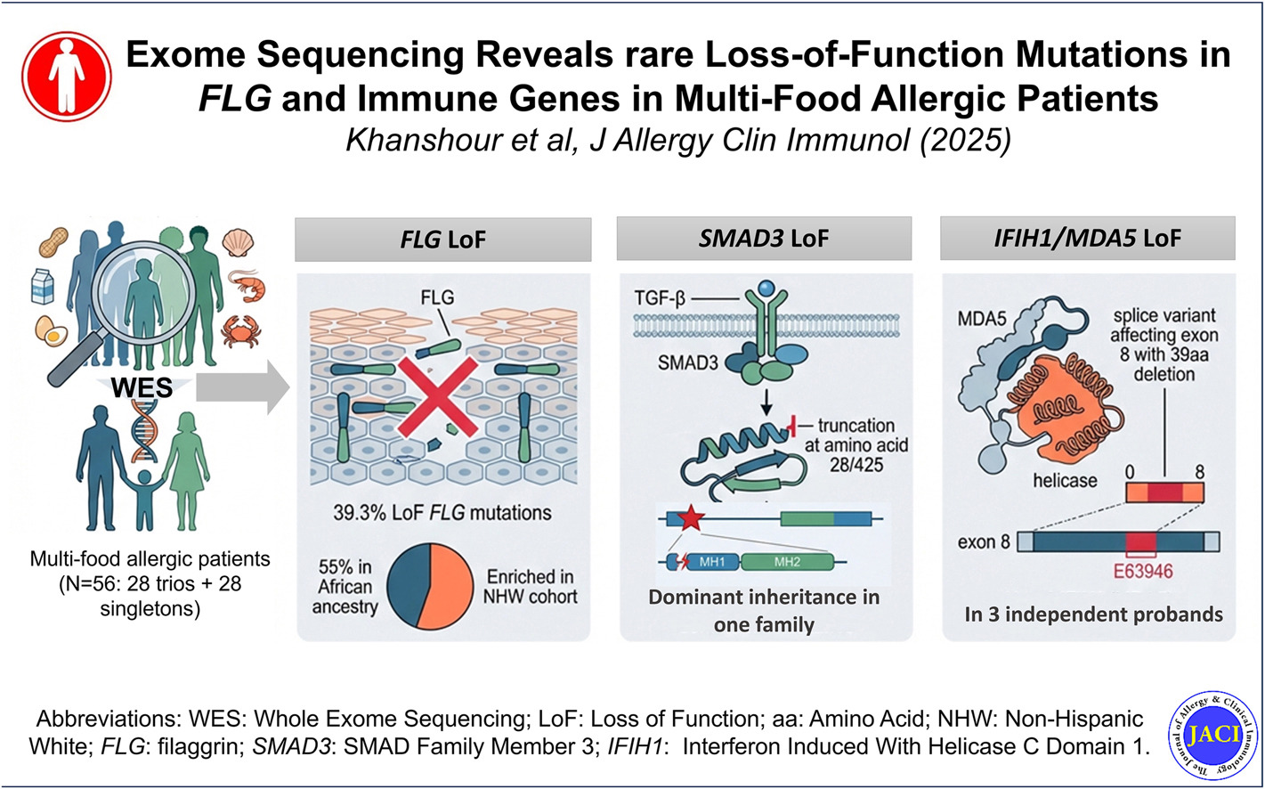 Graphic Abstract - Exome Sequencing Reveals rare Loss-of-Function Mutations in FLG and Immune Genes in Multi-Food Allergic Patients