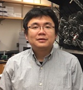 Tian Qin, Ph.D.