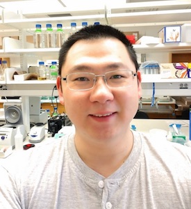 Weiwei Wang, Ph.D.