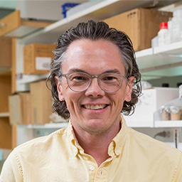 David Hendrixson, Ph.D.