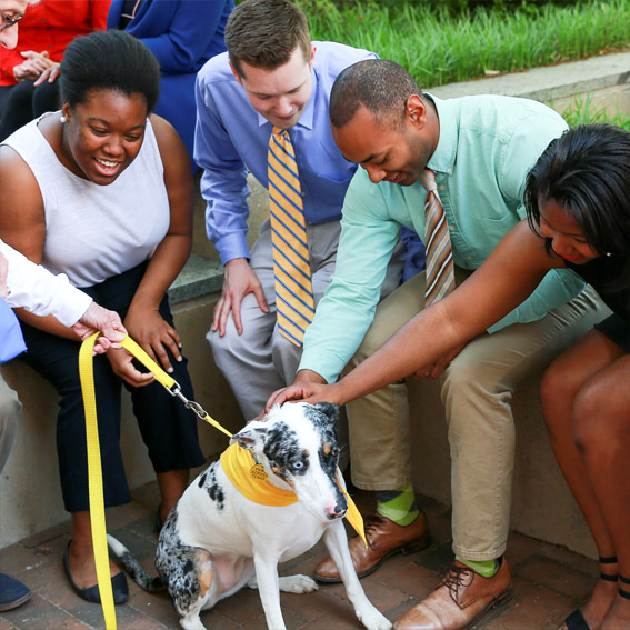 Group of people petting a dog