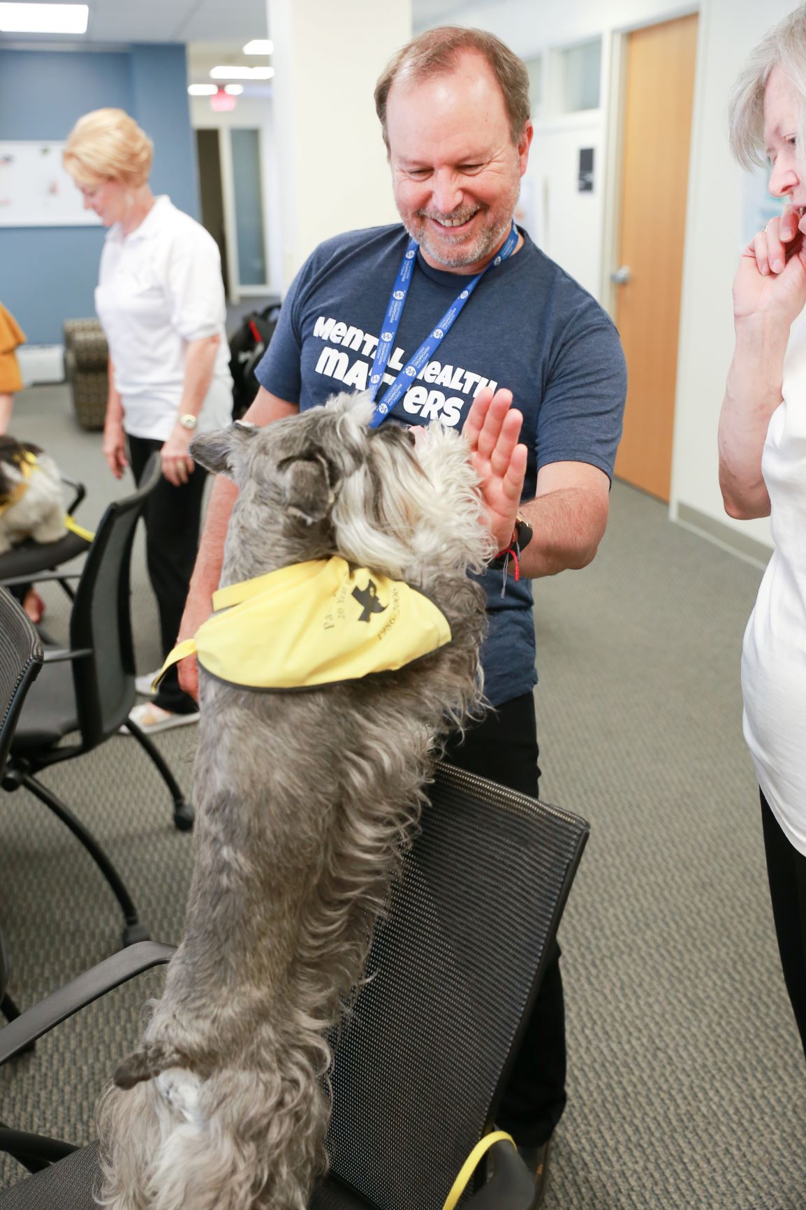 Therapy dog