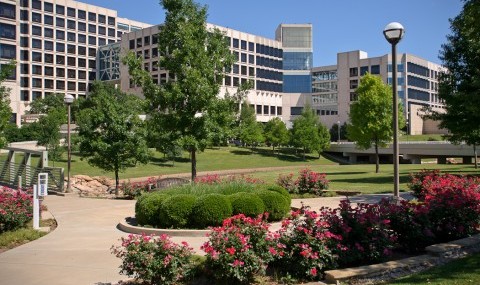 Flower-lined walkway on UT Southwestern's North Campus.
