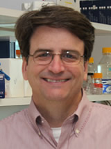 Craig Powell, M.D., Ph.D.