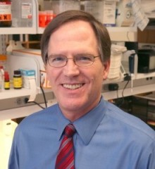 Mentor - Phil Shaul Mentor - Philip Shaul, M.D.