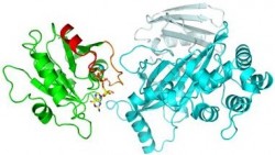 Tomchick Lab image