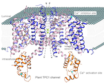 Jian Lab image