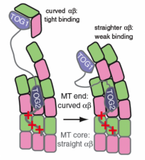 Rice Lab image