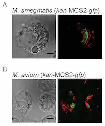 van Oers lab image