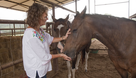 Karen and her horses