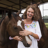 Karen and her horses