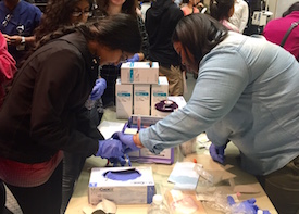  Students learn about catheters.