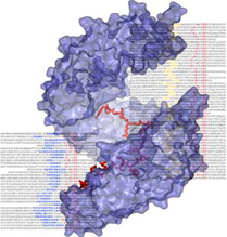 Yuh Min Chook research image