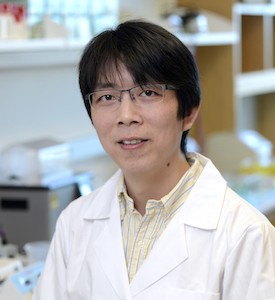 Dr. Bo Zhou