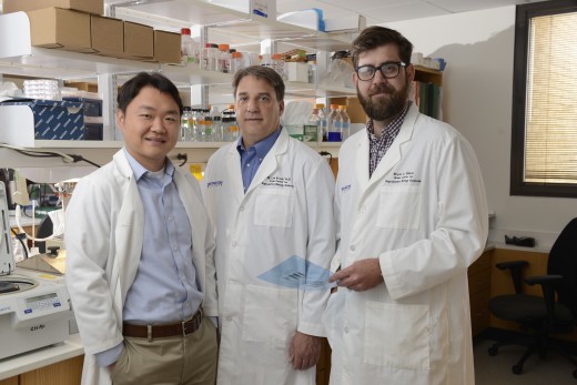 UT Southwestern researchers (l-r) Dr. Yonghao Yu, Dr. W. Lee Kraus, and Dr. Bryan Gibson