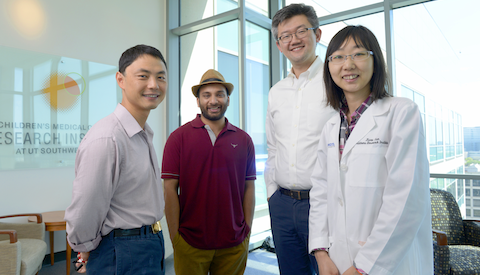 UT Southwestern researchers who reported that inactivating a single protein-coding gene promotes tissue regeneration in mammals (l-r): Dr. Chao Xing, Mohammed Kanchwala, Dr. Hao Zhu, and Dr. Xuxu Sun.