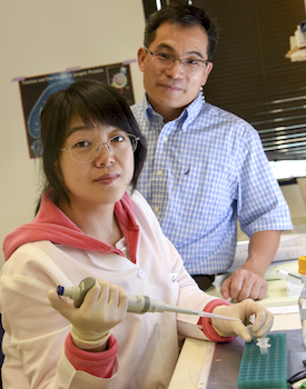 Dr. Lei-Lei Wang and Dr. Chun-Li Zhang