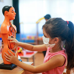 child in science class looking at model of human skeleton