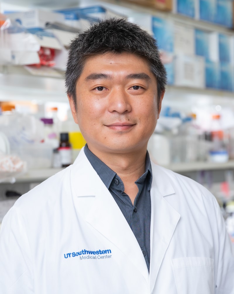 Jun Wu, Ph.D.
