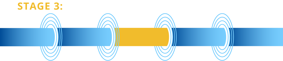 stage3: lead optimization and preclinical PoC