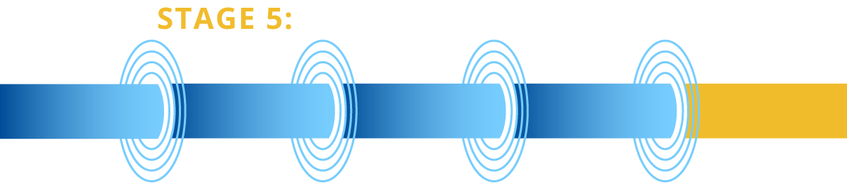 stage5: phase 1 (first-in-human)