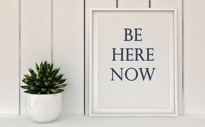 green potted plant against white paneled wall and a sign Be Here Now