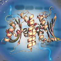 Highlights in Structural Biology: 1986