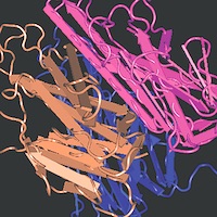 Highlights in Structural Biology: 1989