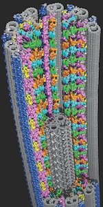 UT Southwestern's new $17 million cryo-electron microscope center provides extraordinary views of life at atomic scale. This establishes UT Southwestern as one of the world's top facilities for cryo-EM structural biology.