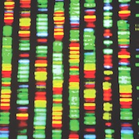 A DNA sequencing study pinpointed more than 1,000 genetic mutations associated with lupus.