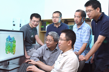 The UTSW research team that determined the 3-D atomic structure of an ion channel includes (bottom row, from left) Drs. Youxing Jiang and Xiaochen Bai, and (top row, from left) Jiangtao Guo, Quingfeng Chen, Weizhong Zeng, and Ji She.