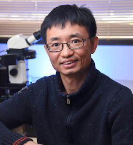 Fei Wang, Ph.D.