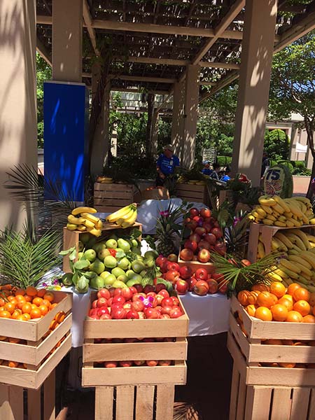 Fruit stands at the party
