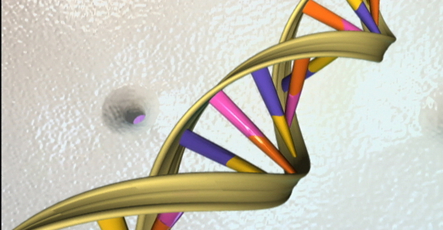 Decorative DNA Double Helix