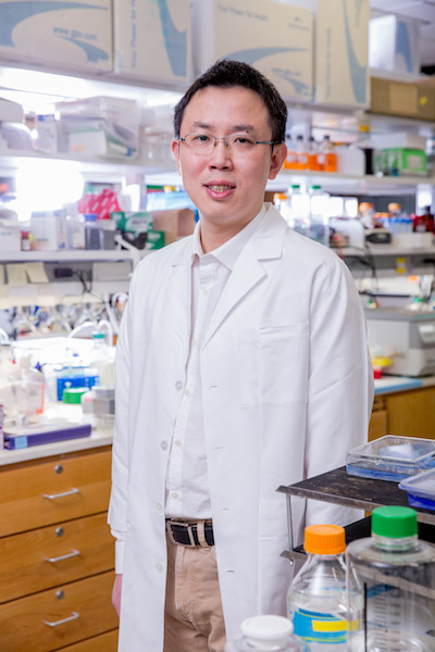 Dr. Xiao-chen Bai