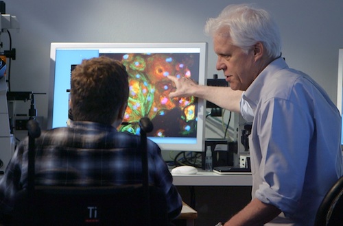 Dr. Eric Olson, right, shows Ben Dupree his heart muscle cells, edited at a UT Southwestern gene-editing lab to correct a mutation that underlies Duchenne muscular dystrophy.