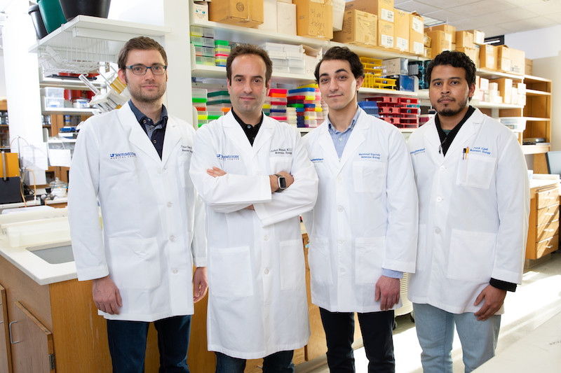 Dr. Florian Kopp, Dr. Joshua Mendell, graduate student Mahmoud Elguindy, and research technician Frank Gillett