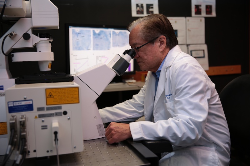 Dr. Joseph S. Takahashi, Chairman of Neuroscience with UT Southwestern’s Peter O’Donnell Jr. Brain Institute.