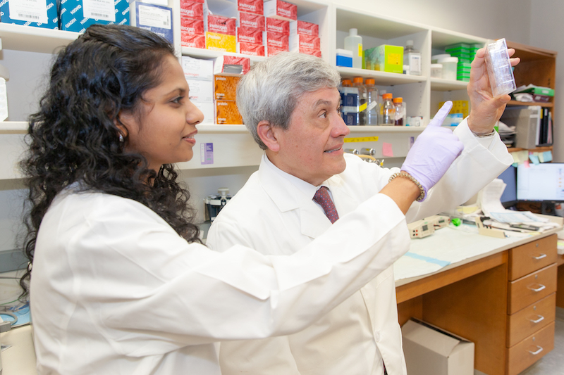 Drs. Dhivya Sudhan and Carlos Arteaga look at a lab slide