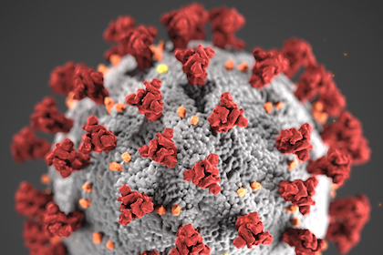 Coronavirus image