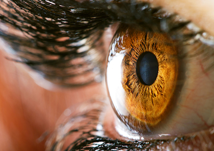 Closeup image of a brown eye and eyelashes