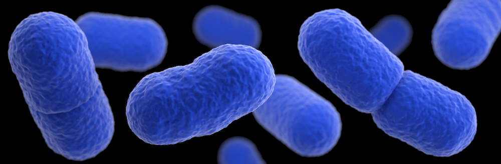 3D computer-generated image of a grouping of blue Listeria monocytogenes bacteria