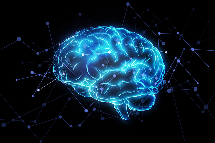 Illustration of a brain outlined with blue lines and liniing to dots