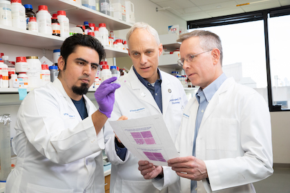 Genaro Hernandez, Dr. David Mangelsdorf, and Dr. Steven Kliewer examine pancreatic section slides