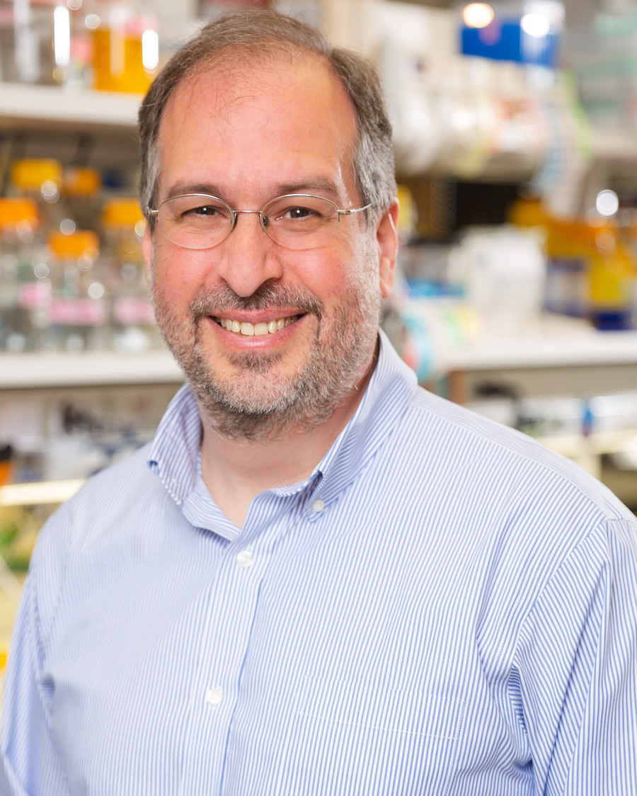 Mike Rosen, Ph.D. smiling