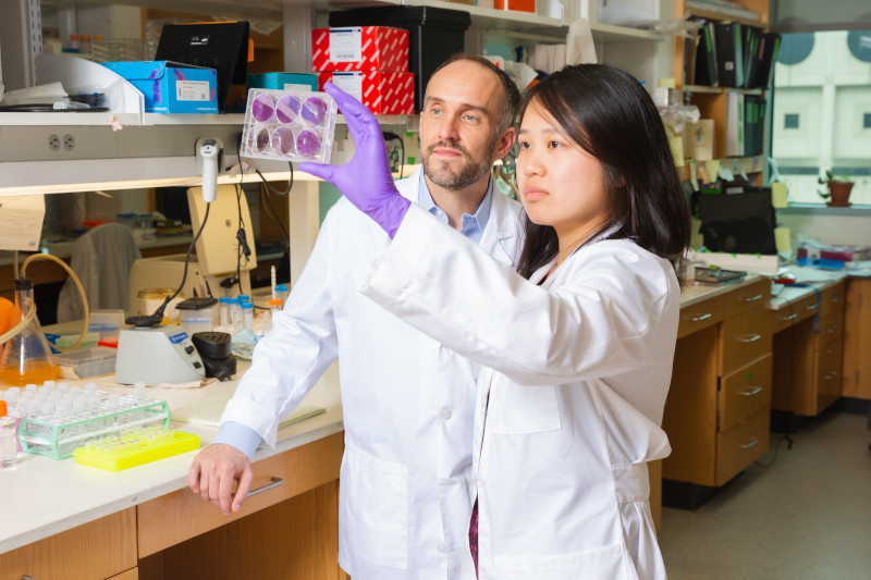 John Schoggins, Ph.D., and a female researcher look at slides in the lab