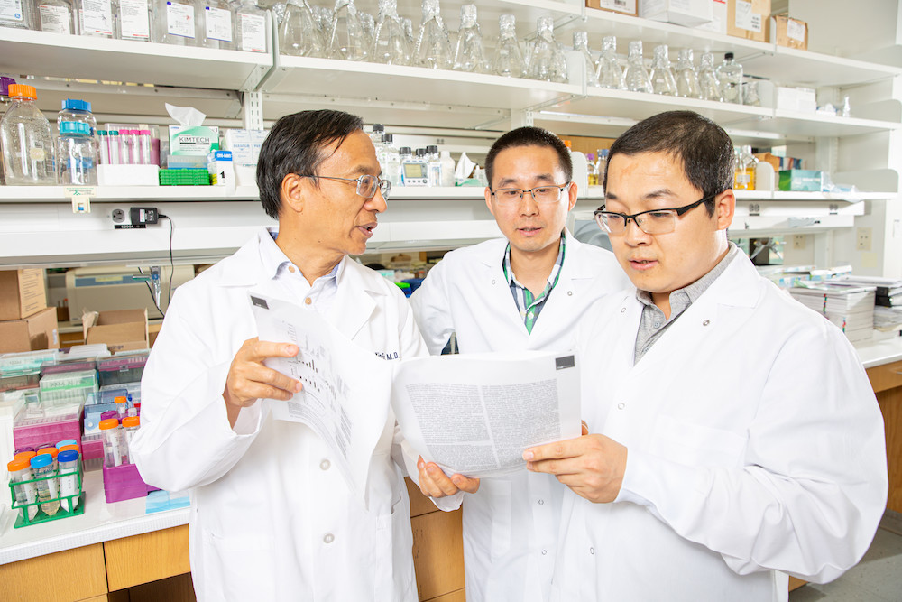 From left: Drs. Yang-Xin Fu, Chuanhui Han, and Zhida Liu