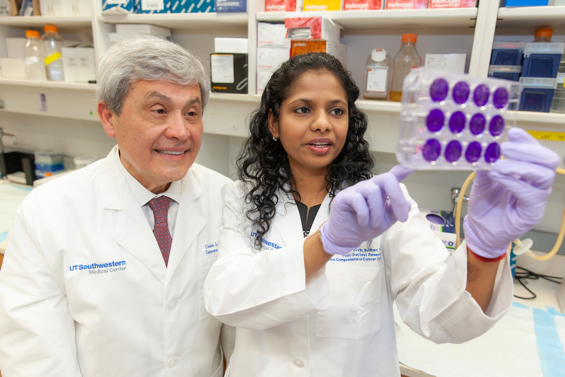 Lab image of Carlos L. Arteaga, M.D., Director of the Simmons Cancer Center and a female medical professional