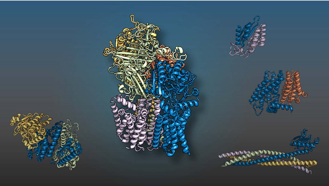 Photo of Yeast proteins